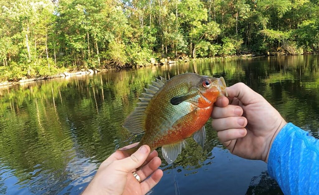 Fishing Gifts for Dad: Reel in the Perfect Present